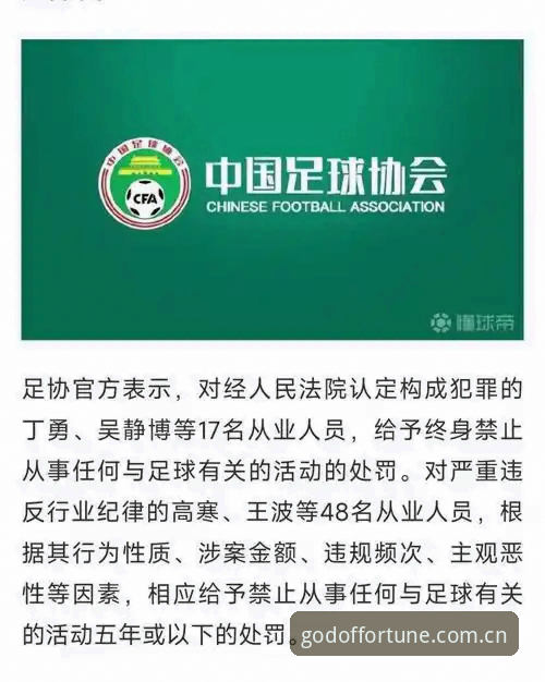 足球反腐风暴实用指南：从中国足协第三批禁足名单看行业净化之路