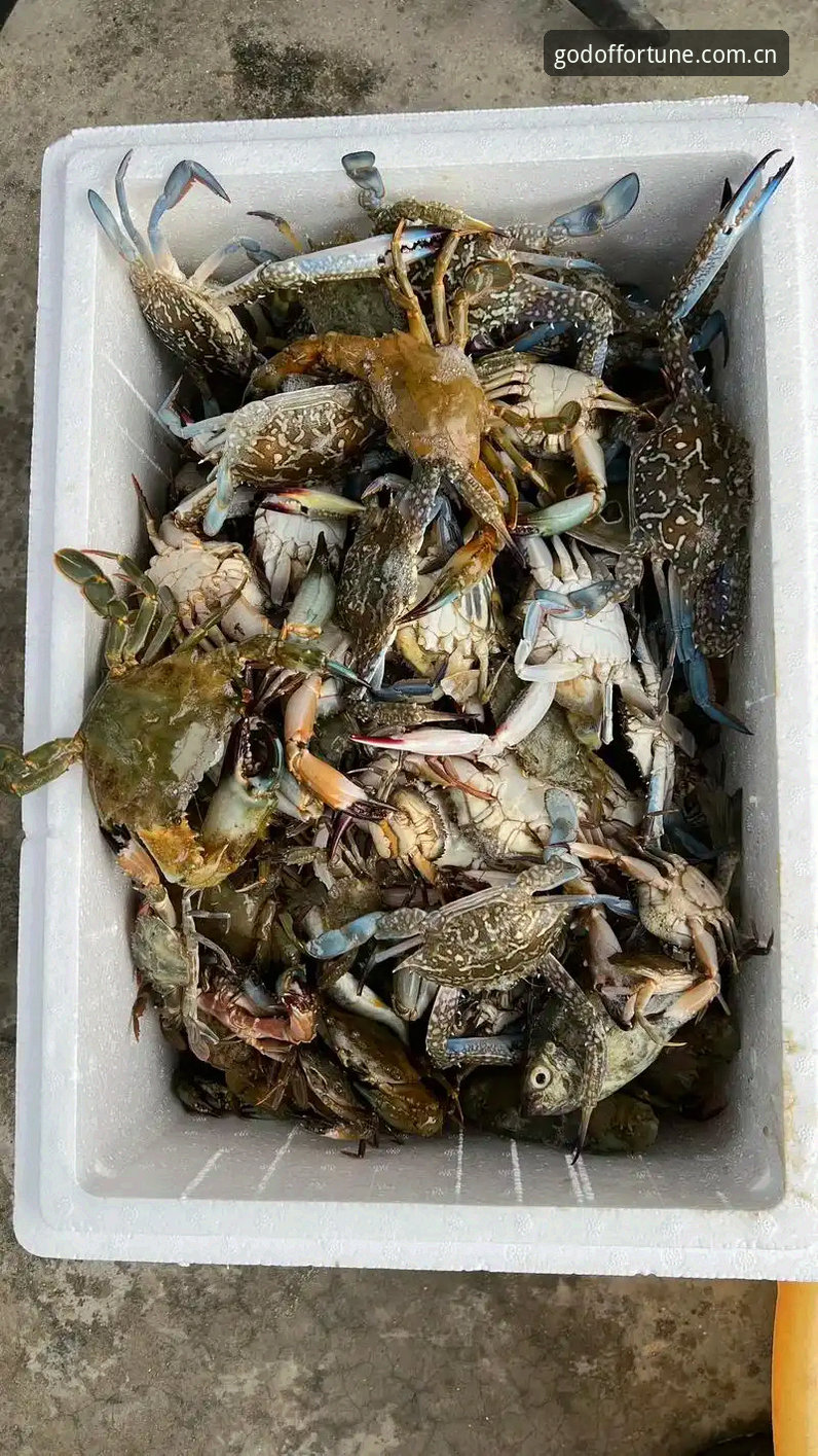 财神捕鱼深海捕鱼 财神捕鱼深海捕鱼真的值得玩吗?一位老用户的真实体验分享